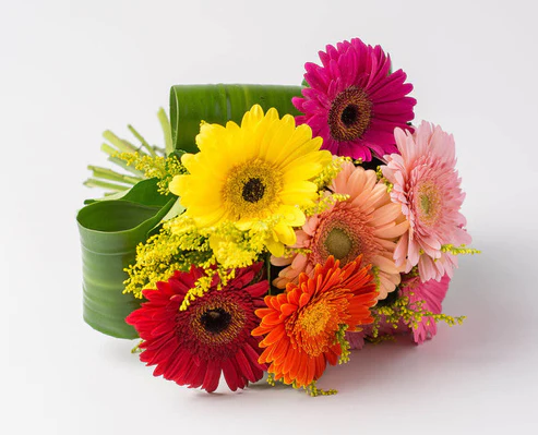 Buque de gerberas coloridas com acabamento em folha verde