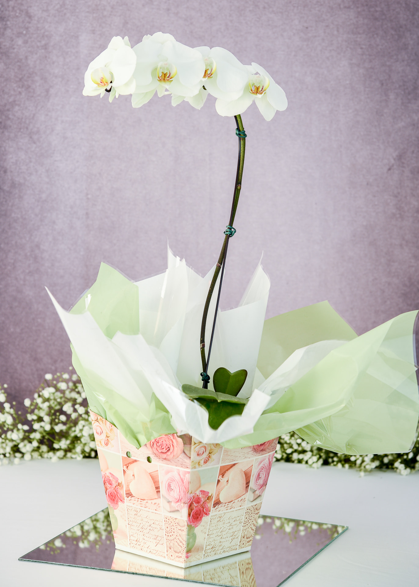 Orquidea branca em cachepo com estampa de rosas