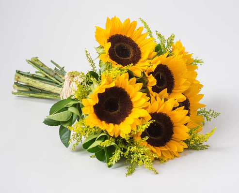 Flores do Campo