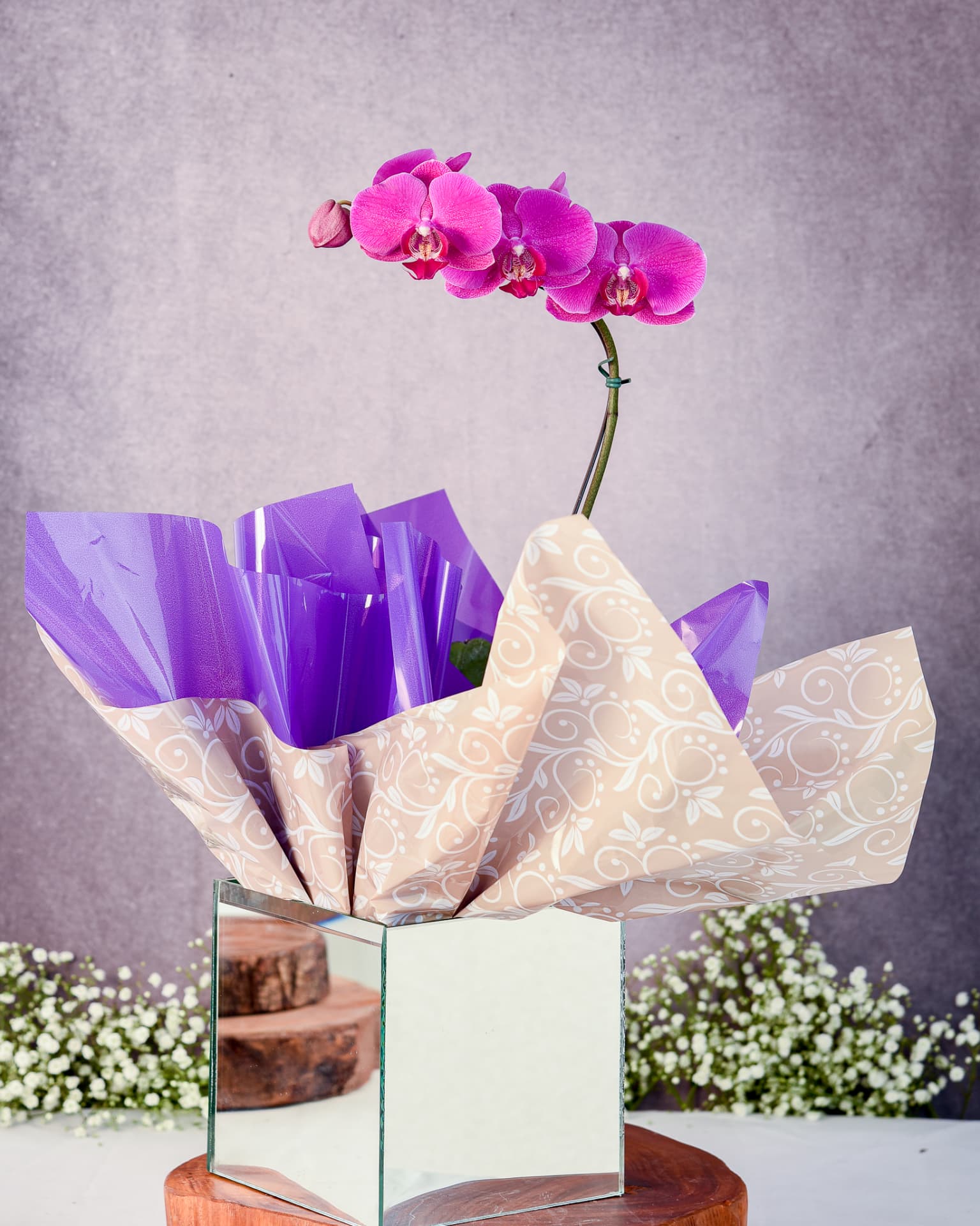 Orquideas