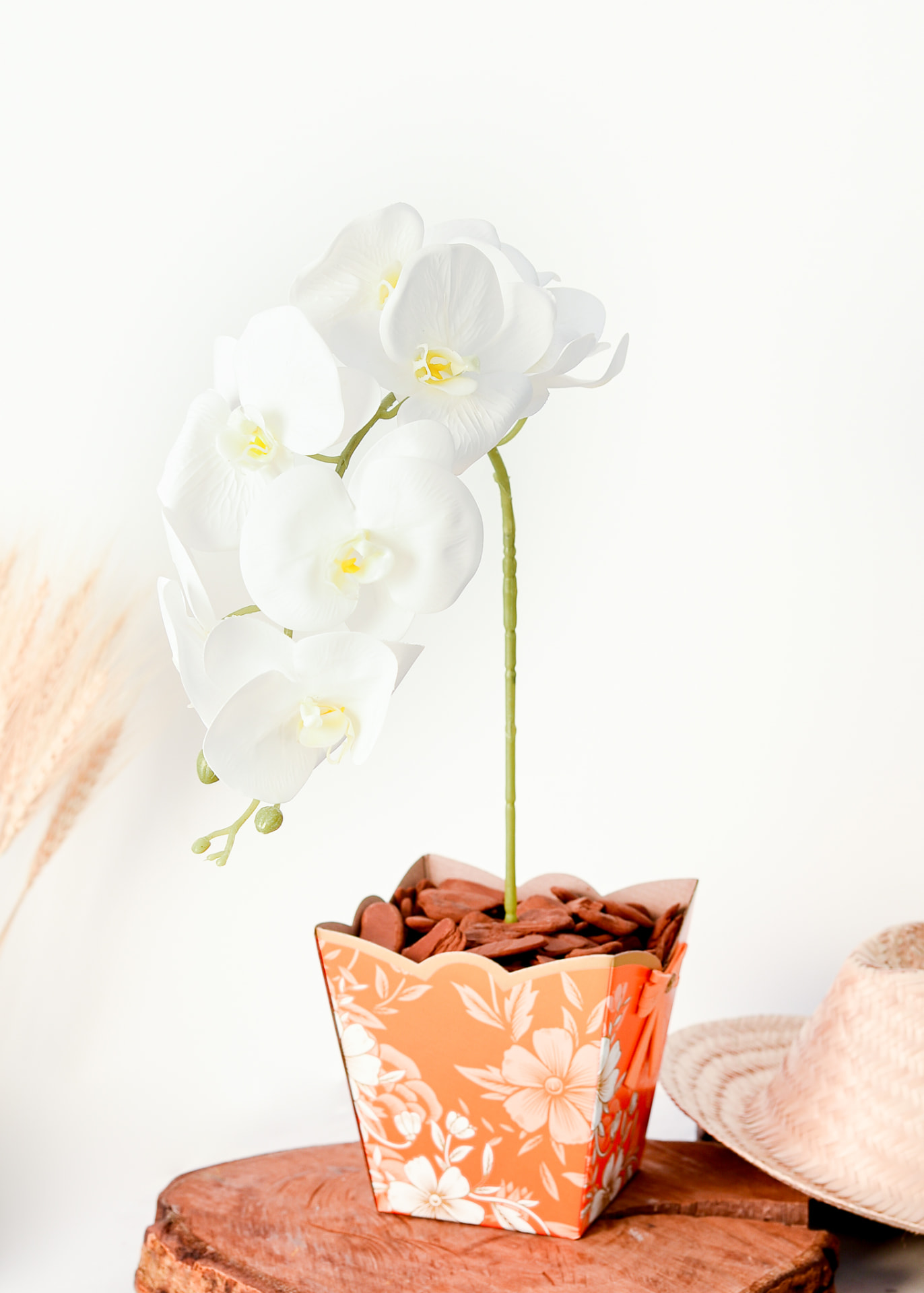 Orquidea Phalaenopsis branca em cachepo coral floral